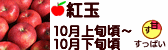 紅玉 長野県産 りんご