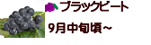 ブラックビート 長野県産ぶどう