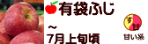 有袋ふじ 長野県産 りんご