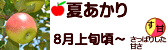 夏あかり 長野県産りんご 早生