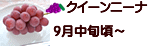 クイーンニーナ 長野県産ぶどう