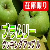 ブラムリー 長野県りんご 調理用 加工用