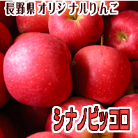 シナノピッコロ 長野県りんご