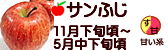 サンふじ 長野県産りんご