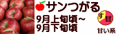 サンつがる 長野県産 りんご