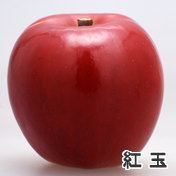 長野県産りんご　紅玉