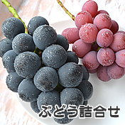 ナガノパープル・シャインマスカット詰合せ 長野県産ぶどう