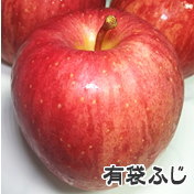 長野県産りんご　ふじ