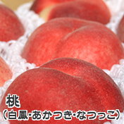 長野県産桃 白鳳・あかつき