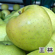 長野県りんご 王林