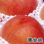 長野県産桃 黄金桃