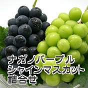 ナガノパープル・シャインマスカット詰合せ 長野県産ぶどう