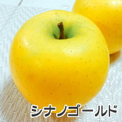 長野りんご　シナノゴールド