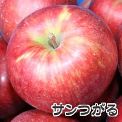 長野県産りんご　サンつがる