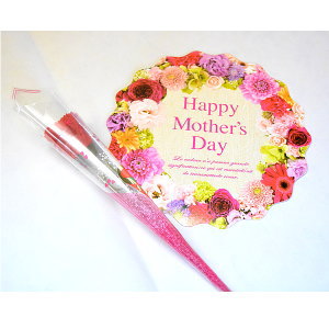 母の日ギフト2019 カーネーション造花・ギフトカード・包装付き-トミおじさんのりんご