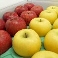 りんご詰合せ商品イメージ画像