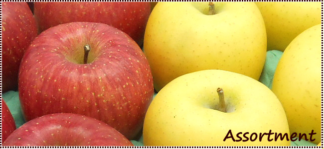 長野県産 りんご２品種 詰合せ 送料無料 | トミおじさんのりんご