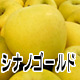 シナノゴールド 長野県産りんご
