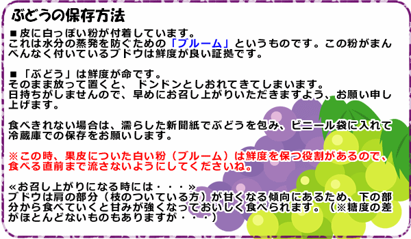 ぶどうの保存について