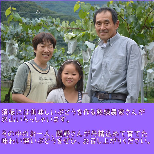 ぶどう農家さん画像