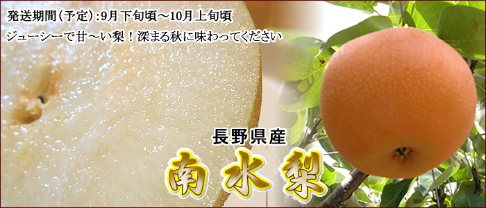 南水梨 長野県