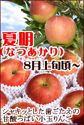 夏あかり 夏明 長野県産