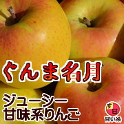 ぐんま名月 長野県産 りんご