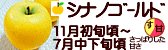 シナノゴールド 長野県産りんご