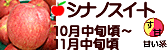 シナノスイート 長野県産りんご