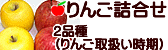 りんご詰合せ 長野県産りんご