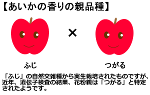 あいかの香り説明２