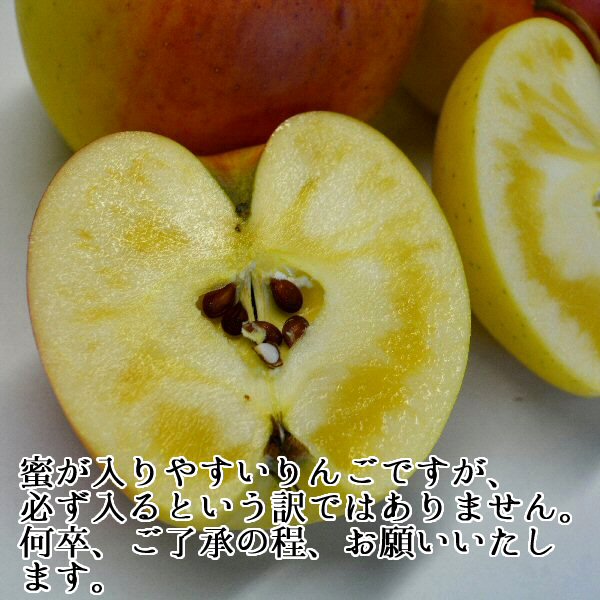 ぐんま名月イメージ2