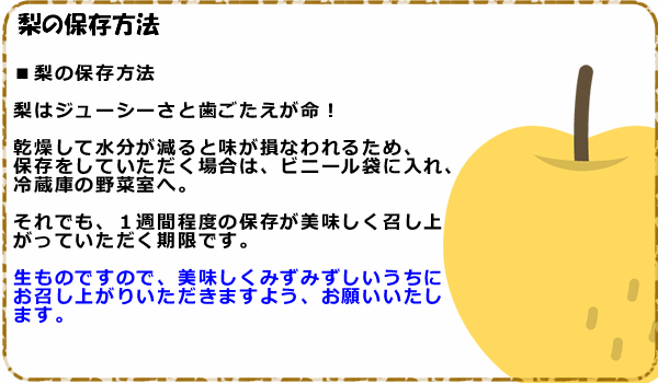 南水梨の保存方法など