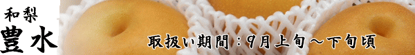 長野県産梨「豊水」のお取り寄せは「トミおじさんのりんご」へ。ご希望いただければ熨斗・ギフト包装・メッセージカードを無料でお付けします。