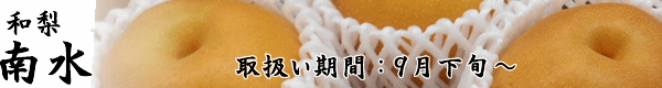 長野県産梨「南水」のお取り寄せは「トミおじさんのりんご」へ。ご希望いただければ熨斗・ギフト包装・メッセージカードを無料でお付けします。