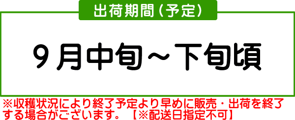 南水梨出荷時期(予定)