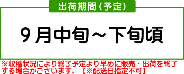 南水梨出荷時期（予定）