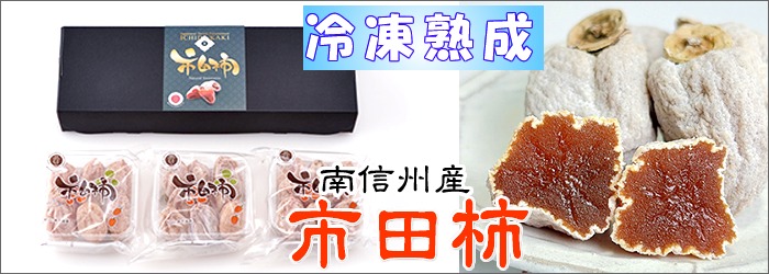 市田柿 南信州産 長野県